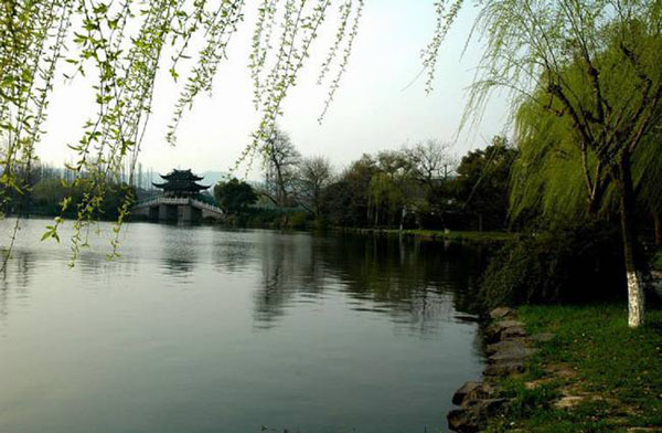 West Lake Su Causeway Charming Sight